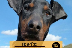 ikatz-principal