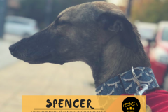 spencer-principal