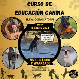 CURSO DE EDUCACIÓN CANINA – Enero 2023