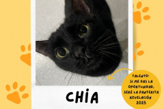 chia