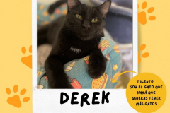 derek