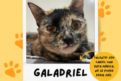 galadriel