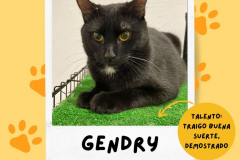 gendry