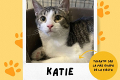 katie