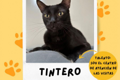 tintero