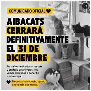 Cierre aiBaCats