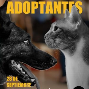 II Encuentro Adoptantes: 28 de Septiembre