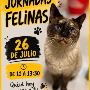 Jornadas Felinas 26 de Julio