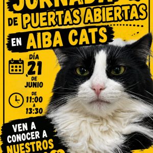 Jornadas Puertas Abiertas – 21 de Junio