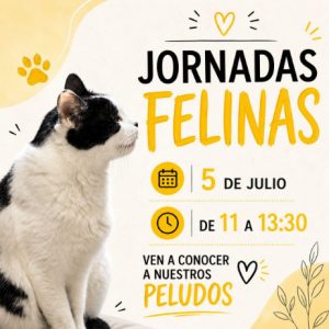 Jornadas Felinas 5 de Julio
