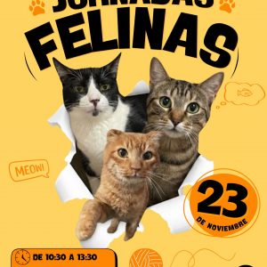 Jornadas Felinas 23 de Noviembre