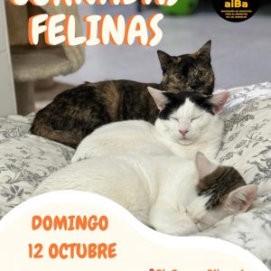 Jornadas Felinas 12 de Octubre