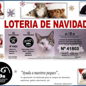 Lotería Navidad